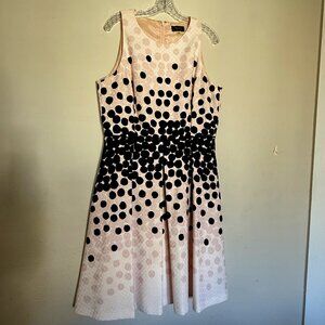 Tahari Fit/Flare Dot Dress